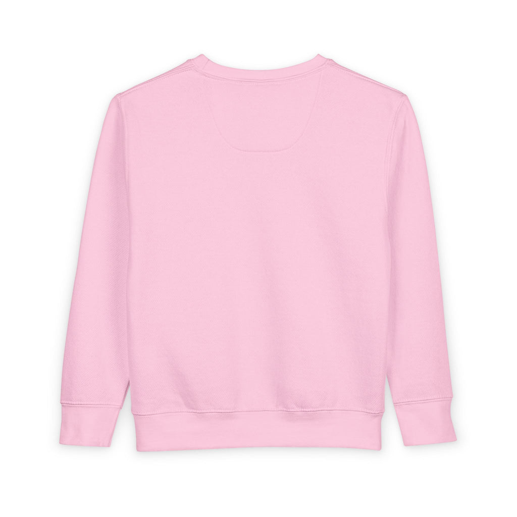 Toddler Sweatshirt - RNB Graffiti Logo Kids Pullover